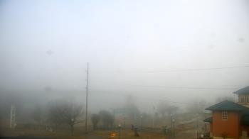 Weather camera view of Miss Lauras.