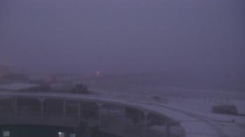 Weather camera view of The Gulfarium.