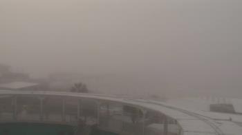 Weather camera view of The Gulfarium.