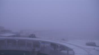 Weather camera view of The Gulfarium.