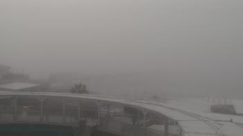 Weather camera view of The Gulfarium.