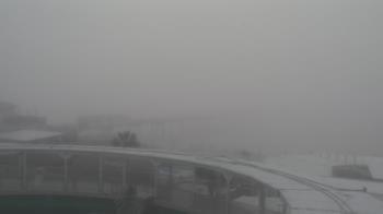 Weather camera view of The Gulfarium.