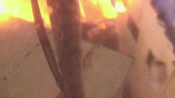 Weather camera view of The Gulfarium.