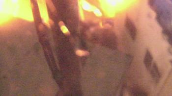 Weather camera view of The Gulfarium.