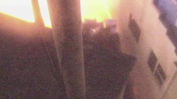 Weather camera view of The Gulfarium.