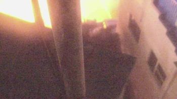 Weather camera view of The Gulfarium.