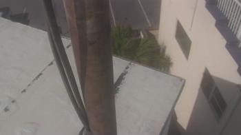 Weather camera view of The Gulfarium.