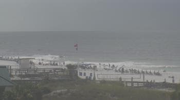Weather camera view of The Gulfarium.