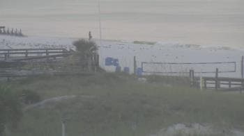 Weather camera view of The Gulfarium.