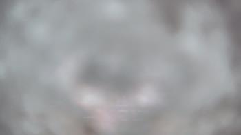 Weather camera view of Gillette Stadium.