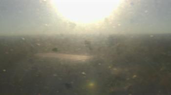 Weather camera view of Downtown West.