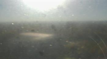 Weather camera view of Downtown West.