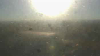 Weather camera view of Downtown West.