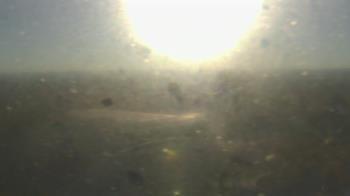 Weather camera view of Downtown West.