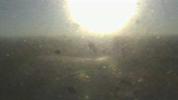 Weather camera view of Downtown West.