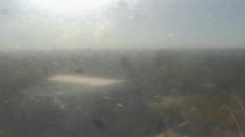 Weather camera view of Downtown West.