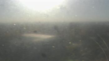 Weather camera view of Downtown West.