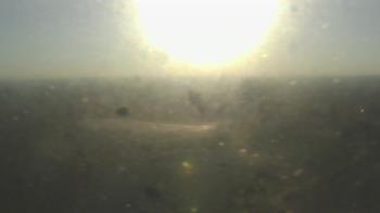 Weather camera view of Downtown West.