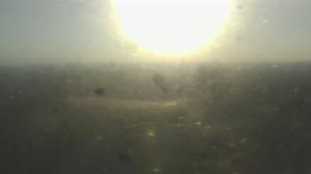 Weather camera view of Downtown West.