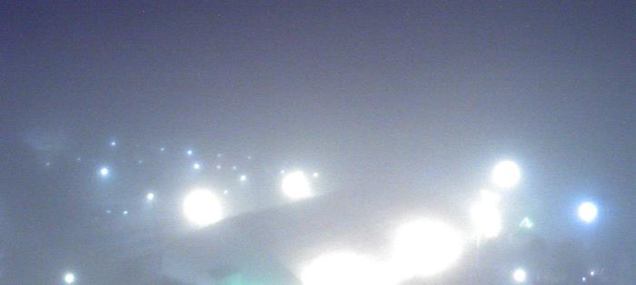 Weather camera view of Moody Gardens Inc..