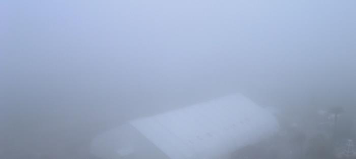 Weather camera view of Moody Gardens Inc..