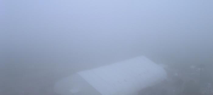 Weather camera view of Moody Gardens Inc..