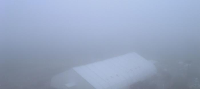 Weather camera view of Moody Gardens Inc..