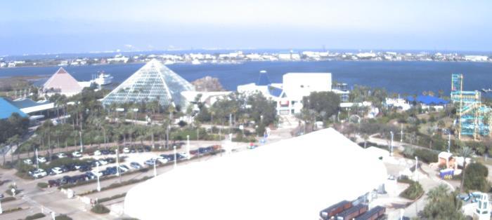 Weather camera view of Moody Gardens Inc..