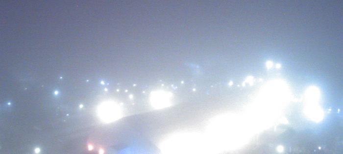 Weather camera view of Moody Gardens Inc..