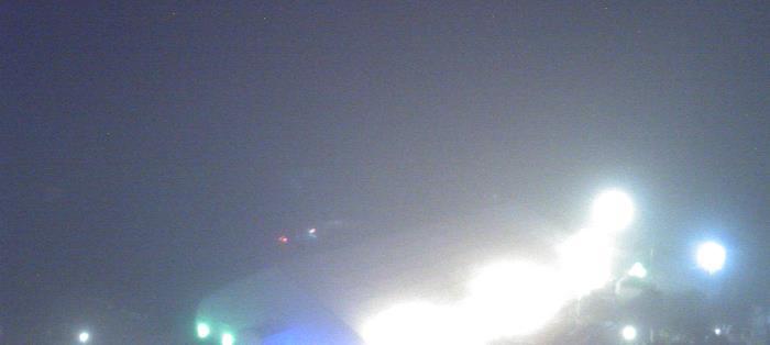 Weather camera view of Moody Gardens Inc..