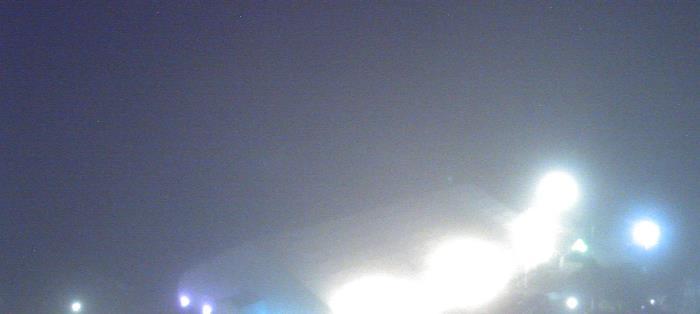 Weather camera view of Moody Gardens Inc..