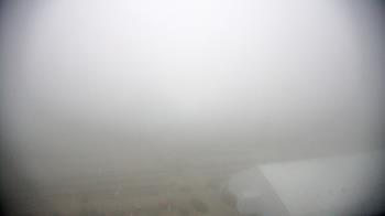 Weather camera view of Moody Gardens Inc..