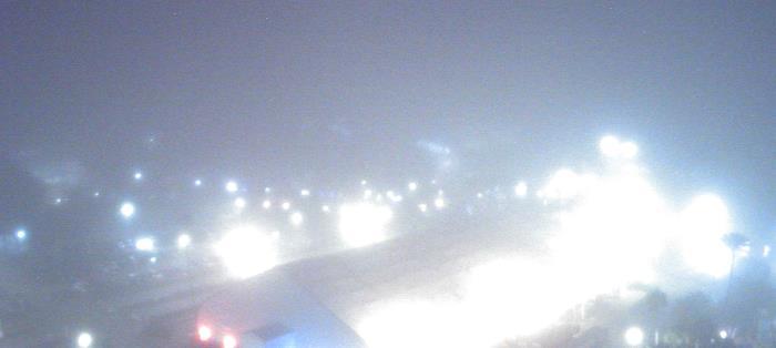 Weather camera view of Moody Gardens Inc..