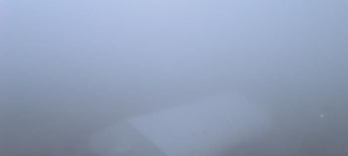 Weather camera view of Moody Gardens Inc..