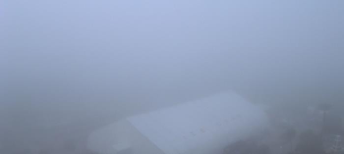 Weather camera view of Moody Gardens Inc..