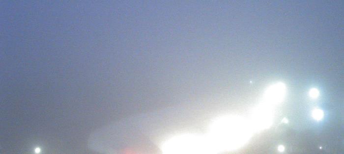 Weather camera view of Moody Gardens Inc..