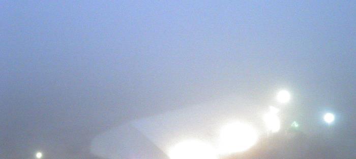 Weather camera view of Moody Gardens Inc..