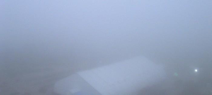 Weather camera view of Moody Gardens Inc..