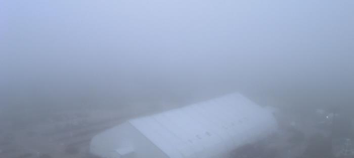 Weather camera view of Moody Gardens Inc..