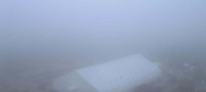 Weather camera view of Moody Gardens Inc..