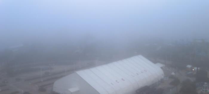 Weather camera view of Moody Gardens Inc..