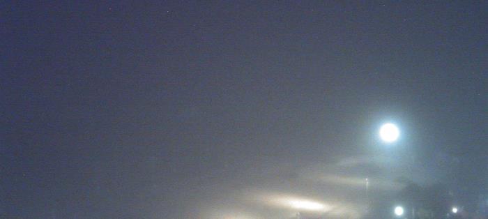 Weather camera view of Moody Gardens Inc..