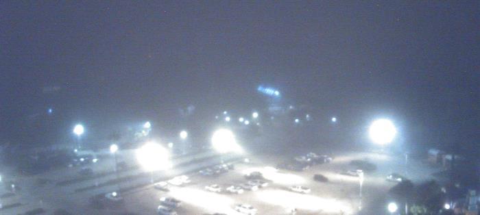 Weather camera view of Moody Gardens Inc..