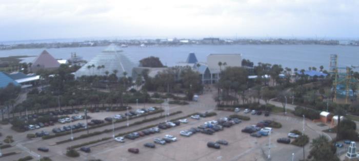Weather camera view of Moody Gardens Inc..