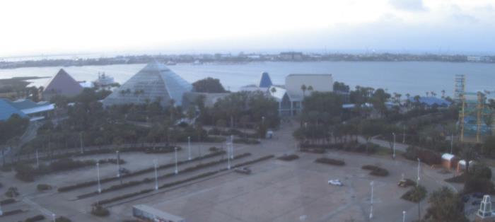 Weather camera view of Moody Gardens Inc..