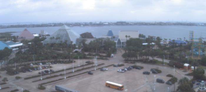 Weather camera view of Moody Gardens Inc..