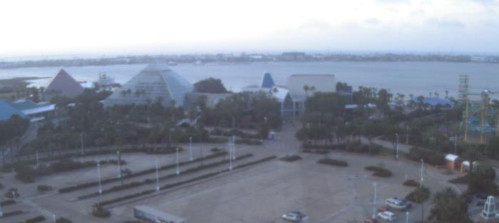 Weather camera view of Moody Gardens Inc..