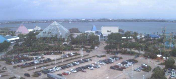 Weather camera view of Moody Gardens Inc..