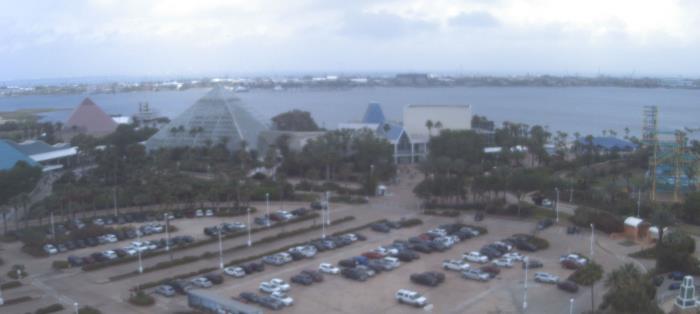 Weather camera view of Moody Gardens Inc..