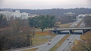 Weather camera view of The Proximity Hotel.